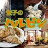 【三鷹】巷で有名な『餃子のハルピン』で心ゆくまでひとり飲み！