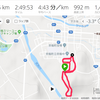 京極でクロカン３６ｋｍ