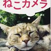 今日は猫の日！だから「ねこカメラ」で写真にトライ！そして４コマ！「ヒギーの言葉」