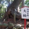 早く仕事が終わったので、下関の住吉神社へ。