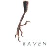 RAVEN『限り無く赤に近い黒』('04)