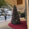クリスマスツリー
