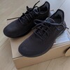 Allbirds(オールバーズ)のスニーカーを買ってみました！気になる履き心地やサイズ感をレビューです。