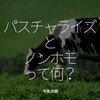 1067食目「パスチャライズとノンホモって何？」牛乳の話