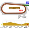 プロキオンステークス予想