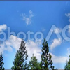 無料　写真　山の木々とと青空