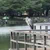 ご近所周遊～鶴ヶ島、日高