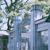 もしかしたら、そこに居たのはわたしだったかも知れない