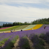 北の大地2011夏［２］