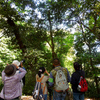 城山探鳥例会　2013年５月