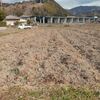 イノシシ被害～再び(2)