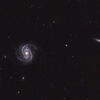 Ｍ１００＋ＮＧＣ４３１２：かみのけ座の渦巻銀河