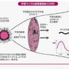 アニメと科学理論