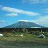 ～風評被害を吹きとばせ！～鹿児島花火大会