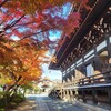 【京都】『妙顕寺』に行ってきました。 紅葉 女子旅 