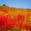 八幡平の紅葉のこと