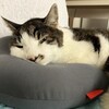 2025年今年もよろしくお願いします