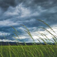 初心者向け 横殴りの雨だ って英語でなんて言う 親子英語フレーズ ママは朝型ブロガー バイリンガル教育101 初心者向け 横殴りの雨だ って英語でなんて言う 親子英語フレーズ ママは朝型ブロガー バイリンガル教育101