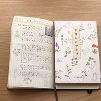 読書感想レビュー】益田ミリさん著「前進する日もしない日も」を