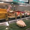 出張／東京『とれたて立ち喰い寿司 魚がし日本一』：お手軽な立ち喰い寿司屋さん