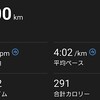 昨日の土曜日は月例マラソン参加、今年度の予定も大分決まりました