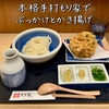 うどんの名店「本格手打もり家」で、ぶっかけとかき揚げ