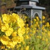 久屋大通庭園　フラリエ