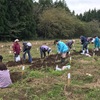 2019/11/03(日)一迫ゆり園掘り起こし