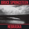 Bruce Springsteen の "Nebraska"(1982) と Aretha Franklin の "Jump To It"(1982) と新譜アルバムを借りる