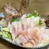 その店の刺身⑯