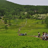 山の湖や湿原６－入笠山