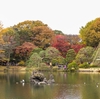 秋の東京公園巡り その3: 六義園