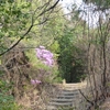 平和公園で花見