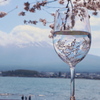 富士･河口湖さくら祭り 2024