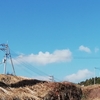 今日も青空　庭の花たち　蕾たち