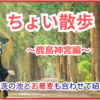 🚶ちょい散歩〜鹿島神宮編〜