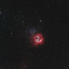 三裂星雲M20 ﾆﾜﾄﾘ
