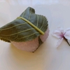 京都中村軒の桜もちと桂川沿いの菜の花と菜の花のお漬物の思い出
