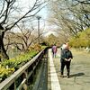 三ッ池公園にて