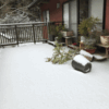 この冬初めての雪が降った。