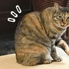 猫背の原因は、意外な筋肉!?　その改善とは！