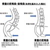 「骨盤を立てる」の謎。