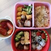 料理下手の幼稚園弁当。