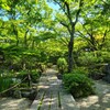 【京都】嵐山、『宝筐院』に行ってきました。　京都青もみじ　京都旅