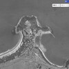 古い航空写真をAIで着色