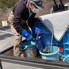 4月2日(火)やまめ稚魚(中津川・定峰川)放流実施