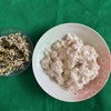 【検証結果】ポプラの綿毛は一房から約1g採取できるPoplar fluff can be collected from about 1 g in one bunch