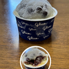 今日の僕の誤算：リアルな雪見豆だいふくはデンジャラス