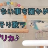 見られてない隙にパプリカ歌うセキセイインコ