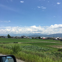 わがやごと